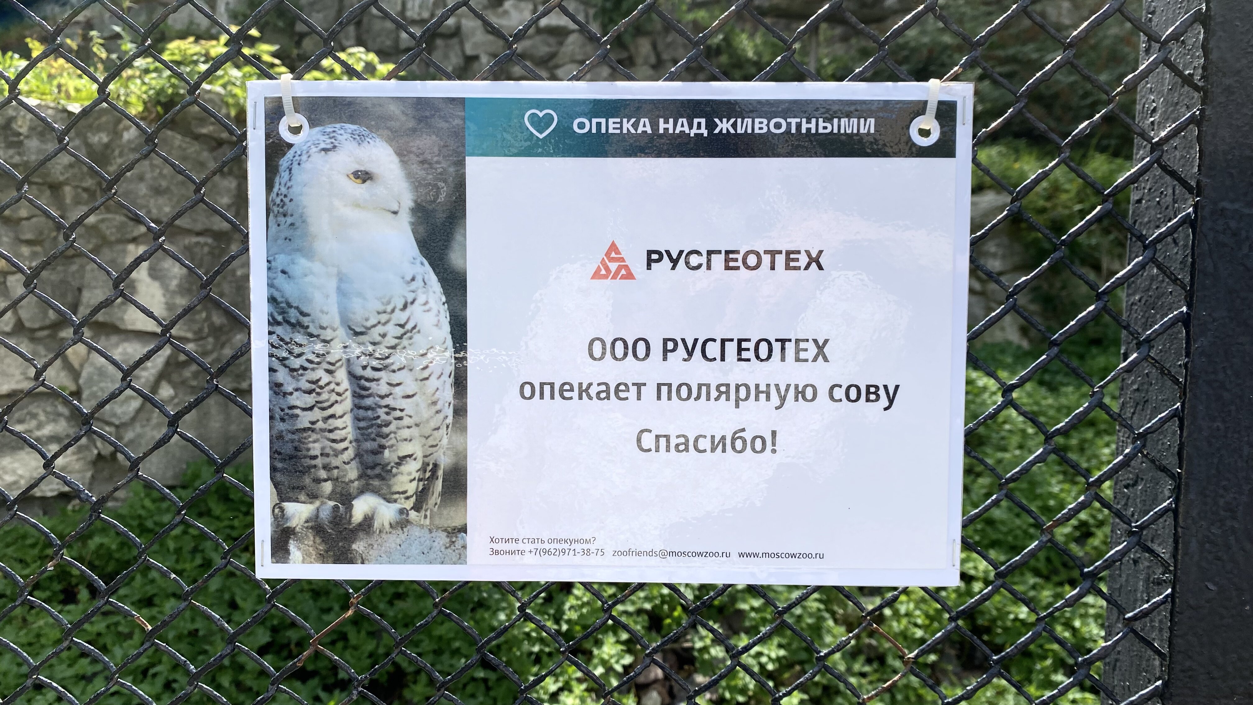 РУСГЕОТЕХ стал опекуном полярной совы из Московского зоопарка 
